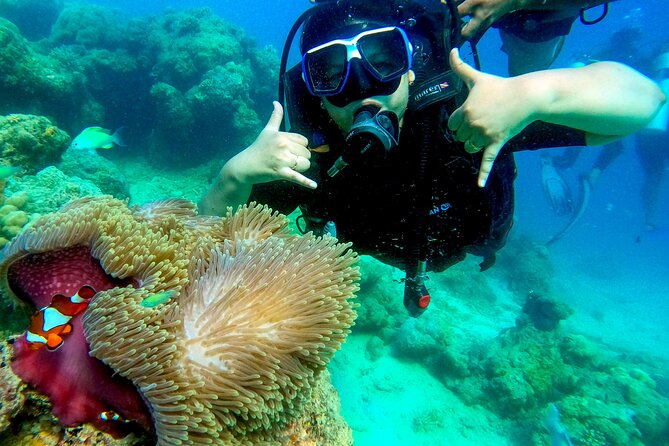 Scuba Diving in Tribe Gate - FAQ