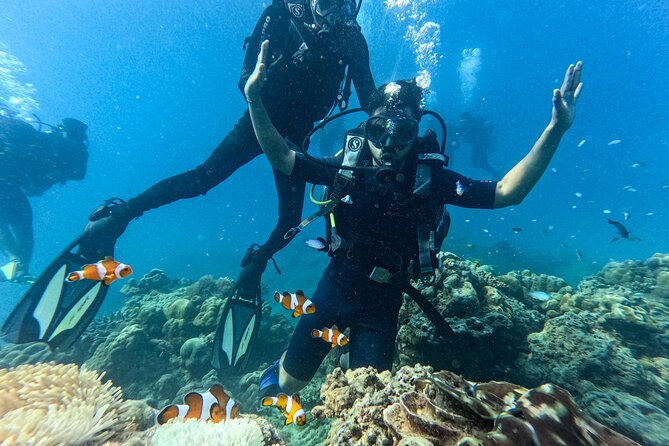 Scuba Diving in Tribe Gate - Key Points