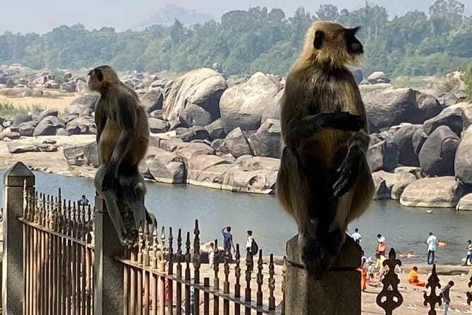 Hire a Licensed Guide for Full Day Hampi visit with own transport - A Complete Guide to the Hampi Tour Experience