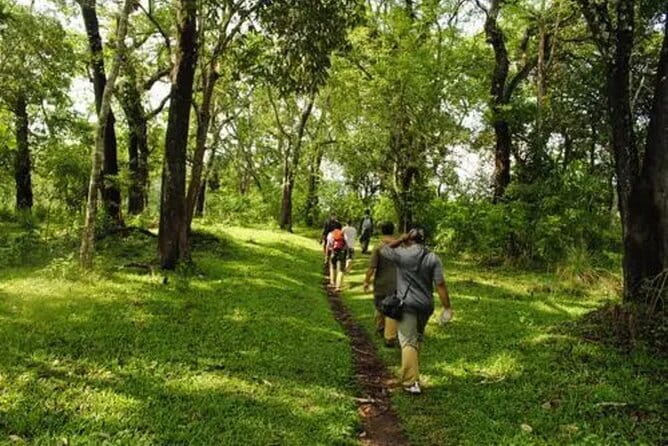 Private Full Day Wild Trails at Thekkady - What We Think About the Price and Value