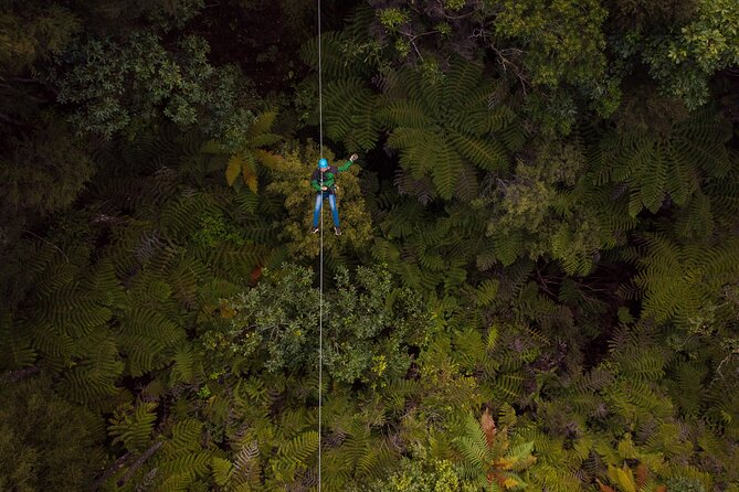 Adventurous Zipline Tour in Coromandel - What Makes This Tour Stand Out?