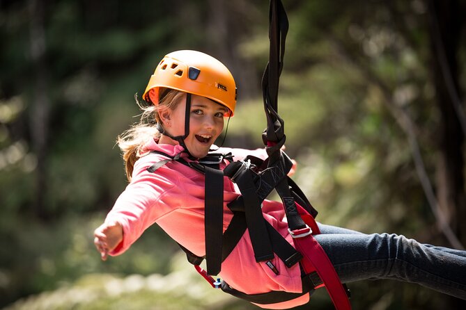 Adventurous Zipline Tour in Coromandel - FAQ