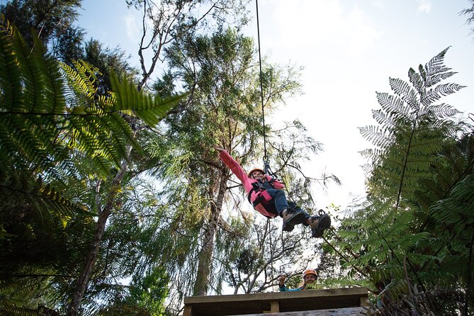 Adventurous Zipline Tour in Coromandel - Practical Tips and Considerations