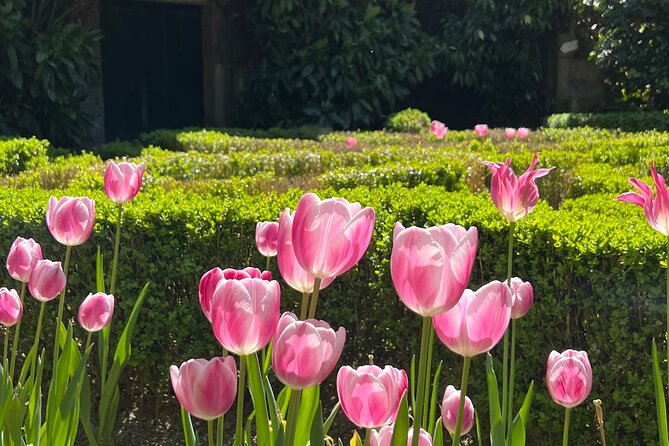 Douro Valley Wine Tour with Tastings, Boat Ride & Lunch - Frequently Asked Questions