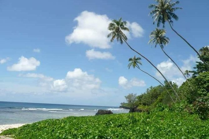 Namua Turtle Island and Eastern Upolu Tour - A Closer Look at the Itinerary