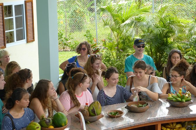 Essence of St Lucia Heritage Experience - A Practical Look at the Essence of St. Lucia Heritage Experience