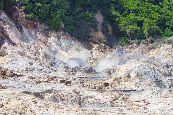 St Lucia Sulphur Springs Drive- in Volcano Tour & Waterfall - Who Would Love This Tour?