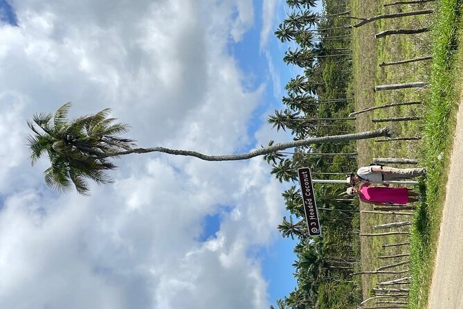Tongatapu West Coast N East Coast Island Tour - Who Will Love This Tour?