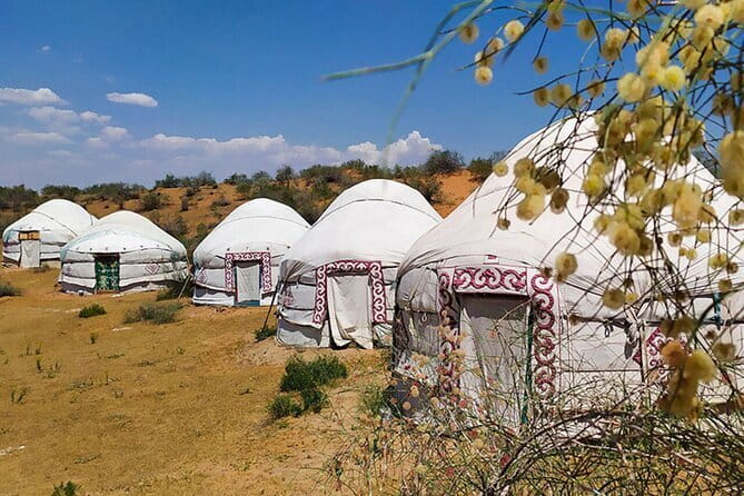 2 Days Private Safari Tour from Bukhara - Who Will Love This Experience?