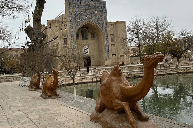 Private Tour in 3 top Places Outside of Bukhara City - Final Thoughts