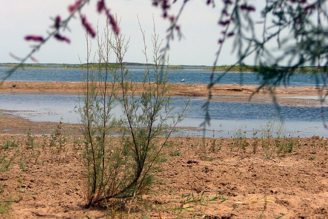 3-Day Yurt Stay, Hiking & Lake Aydarkul Tour - Final Thoughts