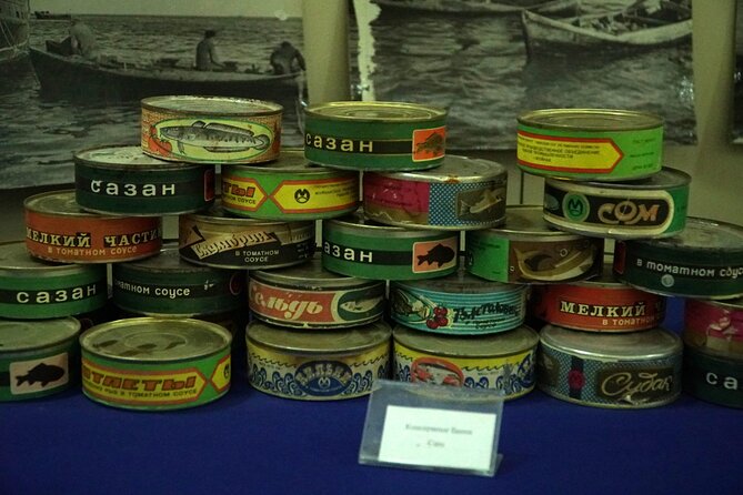 Nukus Private Transfer with Aral Sea View - Insights from Reviews