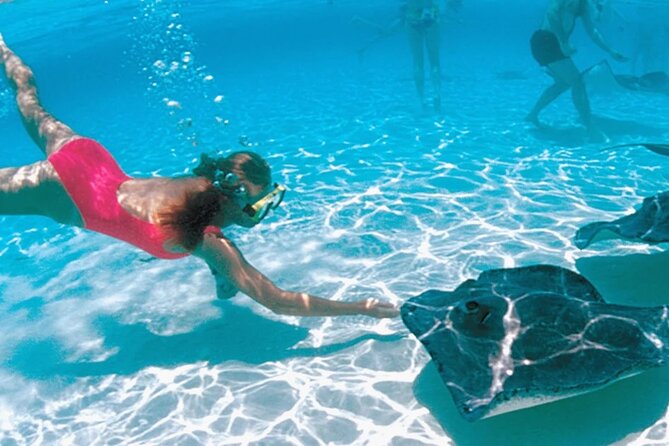 2-stop Adventure: Stingray City and snorkeling at Cayman Reefs - Key Points