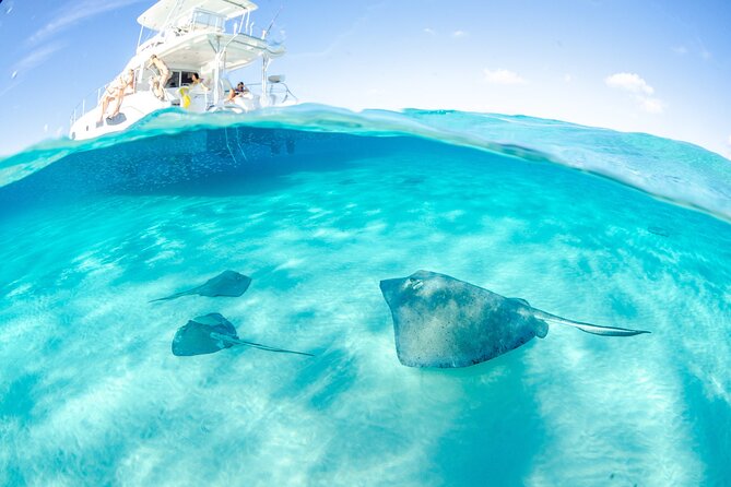 2-stop Adventure: Stingray City and snorkeling at Cayman Reefs - Who Will Love This Tour?