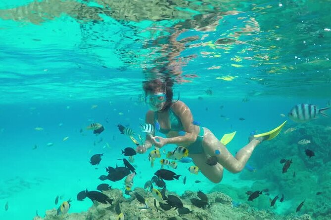 2-stop Adventure: Stingray City and snorkeling at Cayman Reefs - Final Thoughts: Why Choose This Tour?