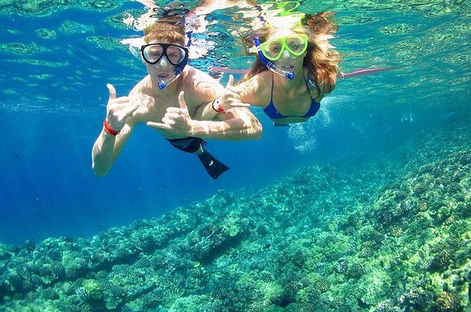 2-stop Adventure: Stingray City and snorkeling at Cayman Reefs - Frequently Asked Questions