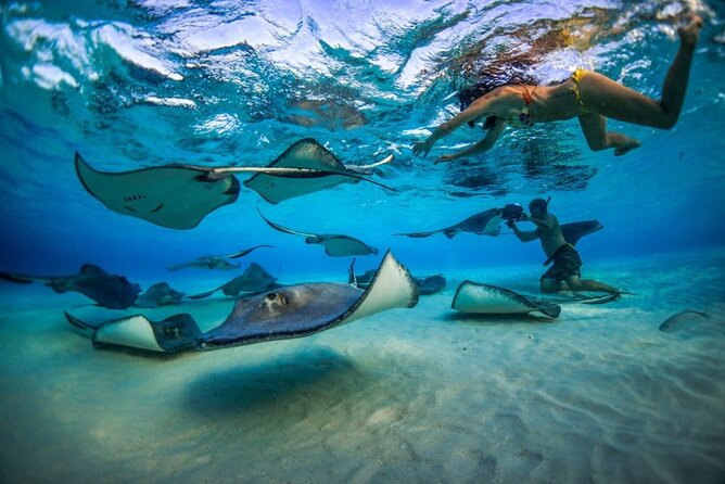 2-stop Adventure: Stingray City and snorkeling at Cayman Reefs - Experience the Best of Grand Cayman: Stingray City and Snorkeling at Cayman Reefs