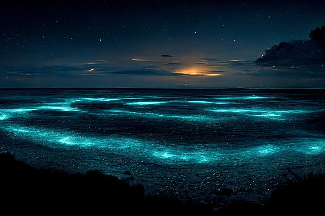 Grand Cayman Bioluminescence Adventure - Final Thoughts