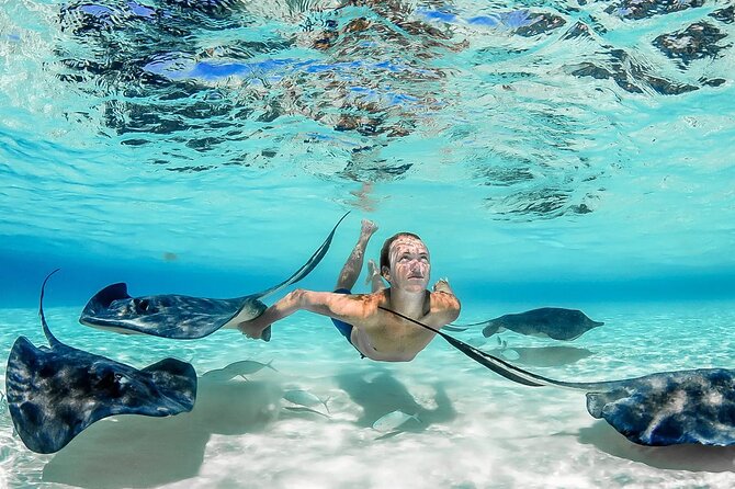 Grand Cayman 2-Stop Snorkeling and Stingray City Combo Adventure - Key Points