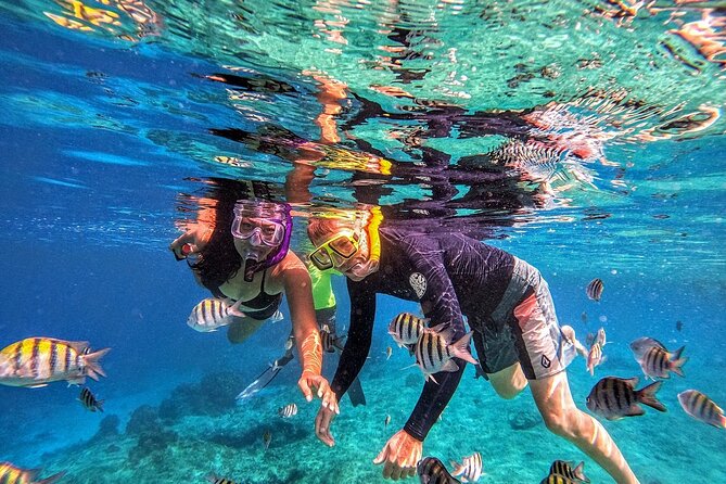 Grand Cayman 2-Stop Snorkeling and Stingray City Combo Adventure - A Close Look at the Tour Itinerary