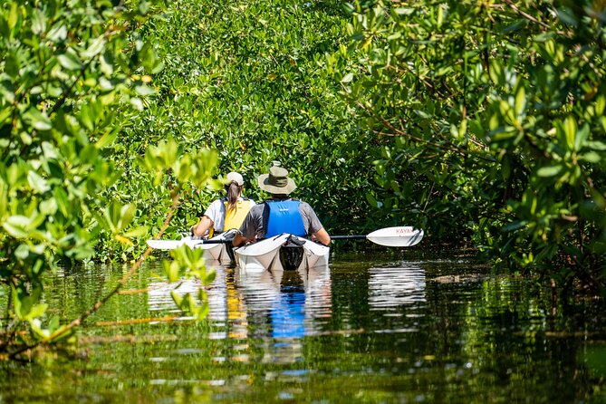 Small Group Glass Bottom Kayak Adventure- Cayman Islands - A Deep Dive into the Cayman Islands Glass Bottom Kayak Adventure