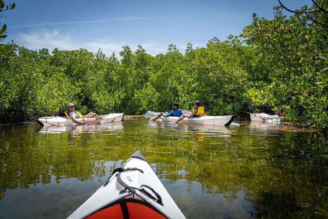 Small Group Glass Bottom Kayak Adventure- Cayman Islands - FAQs