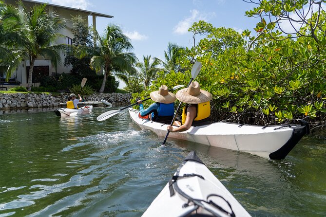 Small Group Glass Bottom Kayak Adventure- Cayman Islands - The Sum Up