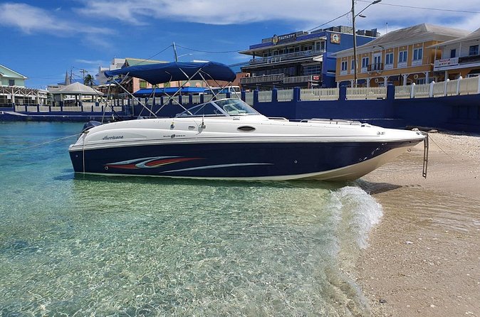 Full-Day Private Stingray City Snorkeling and Starfish Beach Tour - The Sum Up