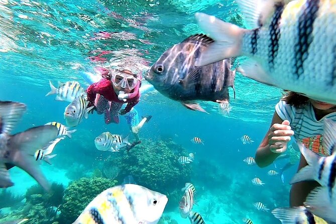Private Charter 28ft Grady White. Stingrays, Snorkeling, Starfish - In-Depth Review of the Private 28ft Grady White Tour in Grand Cayman