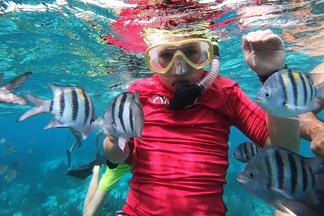 Private Charter 28ft Grady White. Stingrays, Snorkeling, Starfish - FAQs