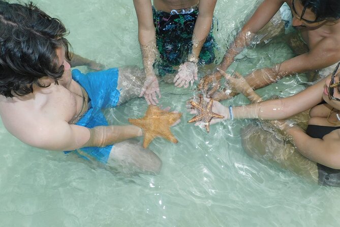 Adventure Stingray City, Snorkeling the Reef and Star Fish Point - In-Depth Review: Why This Tour Shines