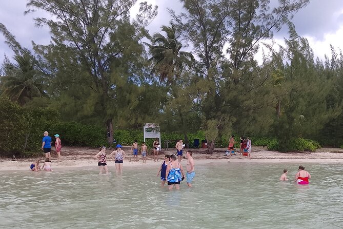 Starfish Encounter & Mangrove Exploration in Grand Cayman - Key Points