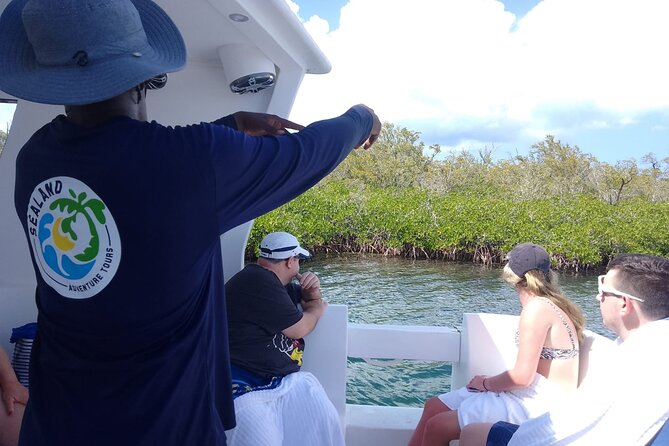 Starfish Encounter & Mangrove Exploration in Grand Cayman - Who Will Love This Tour?