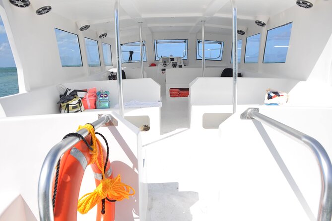 Starfish Encounter & Mangrove Exploration in Grand Cayman - FAQs About the Starfish & Mangrove Tour