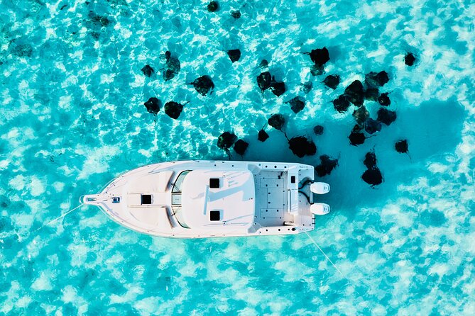 Cayman Private Luxury Charters - Stingray City, Snorkel, & More - What to Expect from the Experience