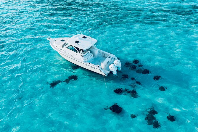 Cayman Private Luxury Charters - Stingray City, Snorkel, & More - Who Will Love This Tour?