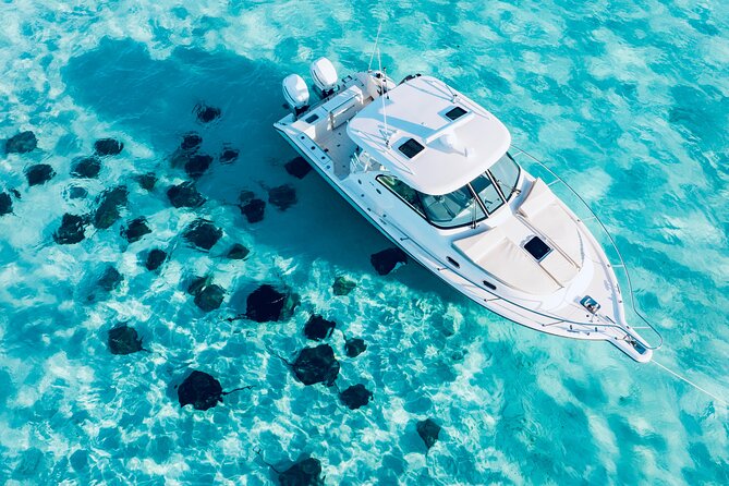 Cayman Private Luxury Charters - Stingray City, Snorkel, & More - Key Points