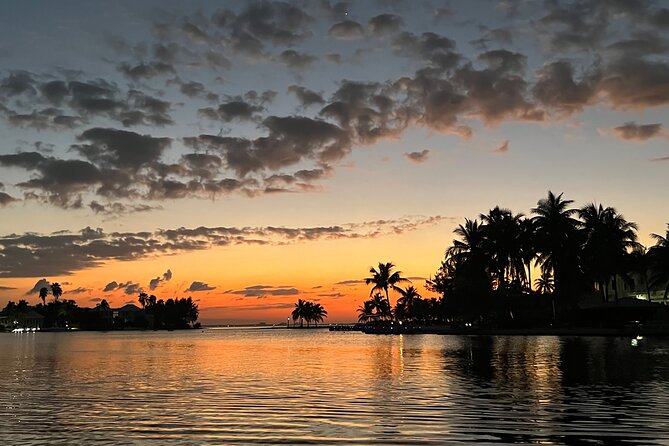 Private: Bioluminescence Tour - Who This Tour Is Best For