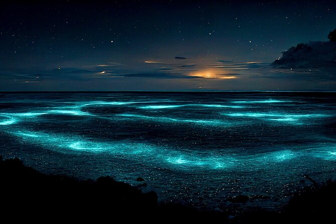 Grand Cayman Bioluminescent Bay Adventure - Details That Matter: Transportation, Timing, and Group Size