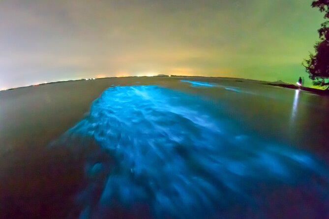 Grand Cayman Bioluminescent Bay Adventure - Authentic Insights from Travelers