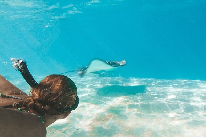 Grand Cayman 3-Stop Snorkel Adventure: Stingray City & Reefs Tour - Why This Tour Stands Out