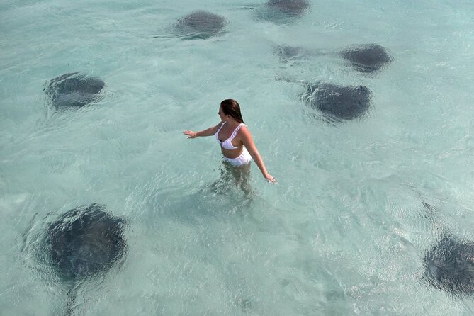 Grand Cayman 3-Stop Snorkel Adventure: Stingray City & Reefs Tour - Who Should Consider This Tour?