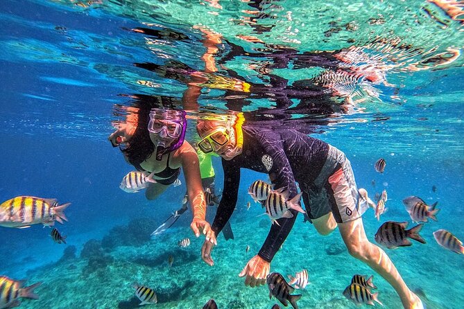 Grand Cayman Coral Reefs and Stingray City Combo Tour - The Sum Up