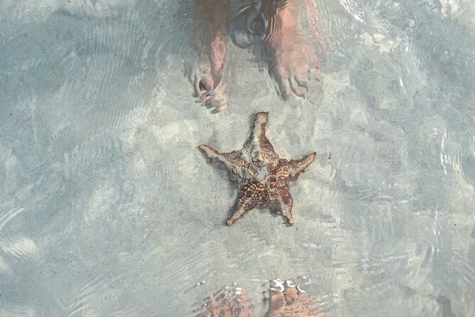 Grand Cayman Coral Reefs and Stingray City Combo Tour - FAQs