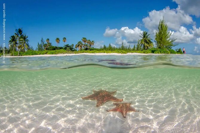 Cayman Combo Adventure: Stingray City, Starfish & Crystal Caves - Stingray City: The Heart of the Experience