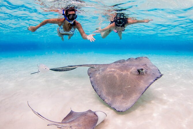 Grand Cayman 2 in 1 Combo Adventure: Stingrays & Reef Snorkeling - The Sum Up