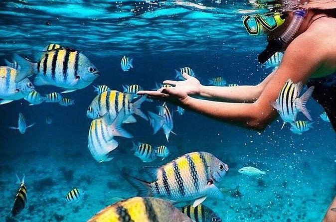 Grand Cayman 2 in 1 Combo Adventure: Stingrays & Reef Snorkeling - FAQ