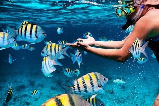 Grand Cayman 2 in 1 Combo Adventure: Stingrays & Reef Snorkeling - Good To Know