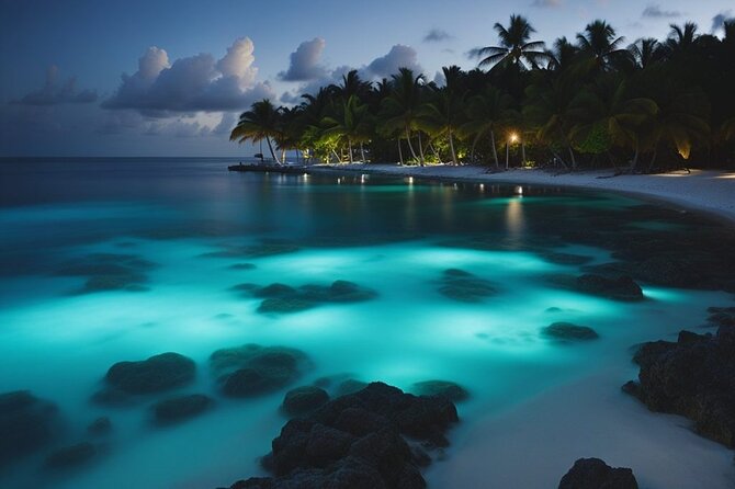 Private Bioluminescent Bay Tour - A Deep Dive into the Experience