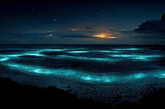 Private Bioluminescent Bay Tour - Who Should Consider This Tour?
